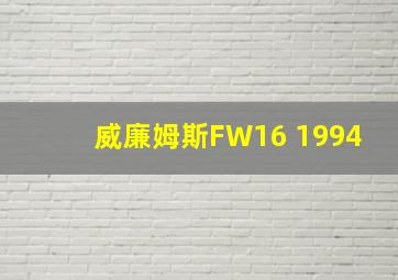 威廉姆斯FW16 1994